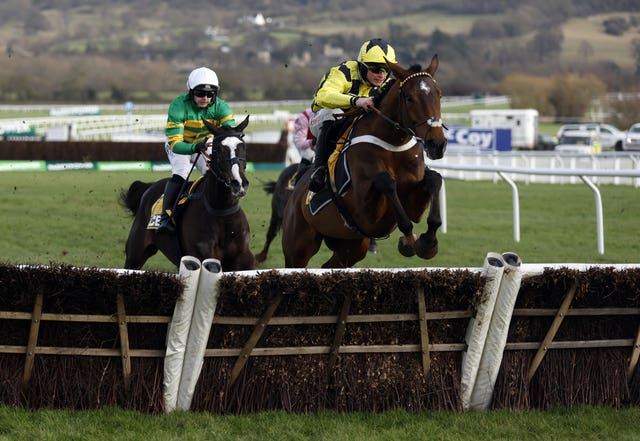 Sir Gino created a massive impression at Cheltenham