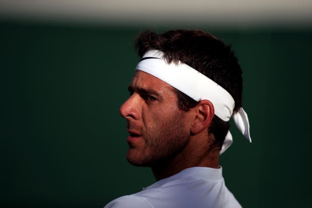Juan Martin del Potro is back among the top seeds 