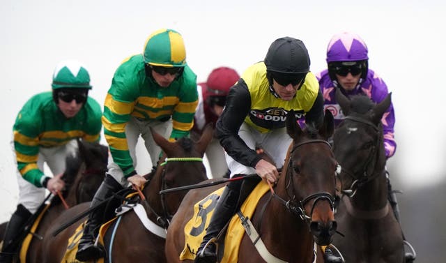 Aucunrisque leading the Betfair Hurdle field 