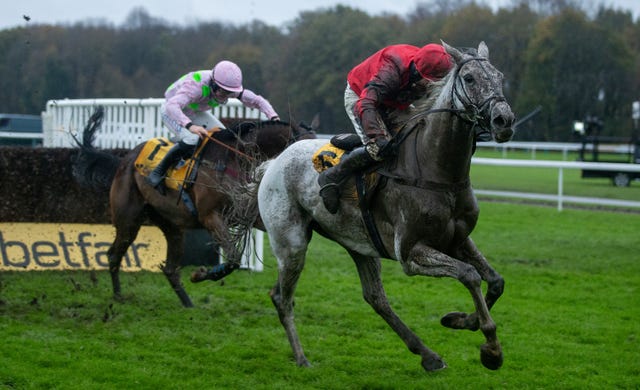 Grey Dawning is hunted down by Royale Pagaille at Haydock