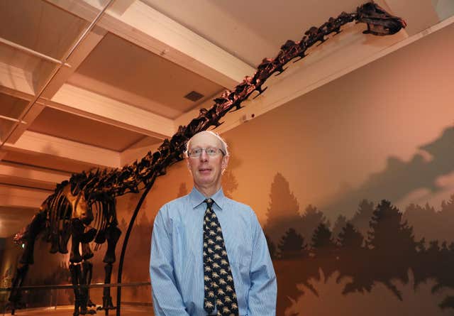 Dippy the Diplodocus skeleton cast in Belfast