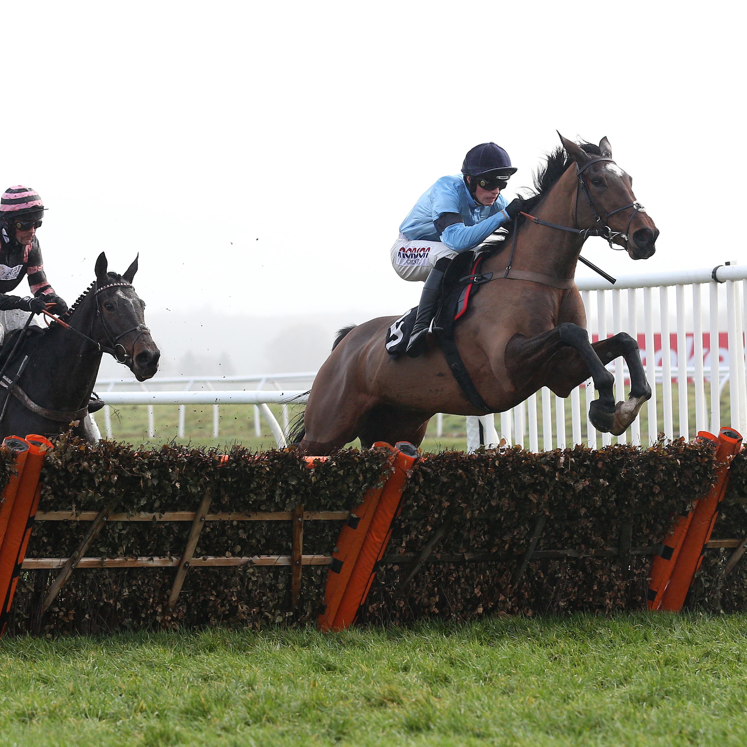 Posh Trish and Harry Cobden clear the last flight before going on to win at Newbury