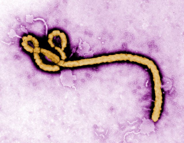 Ebola epidemic