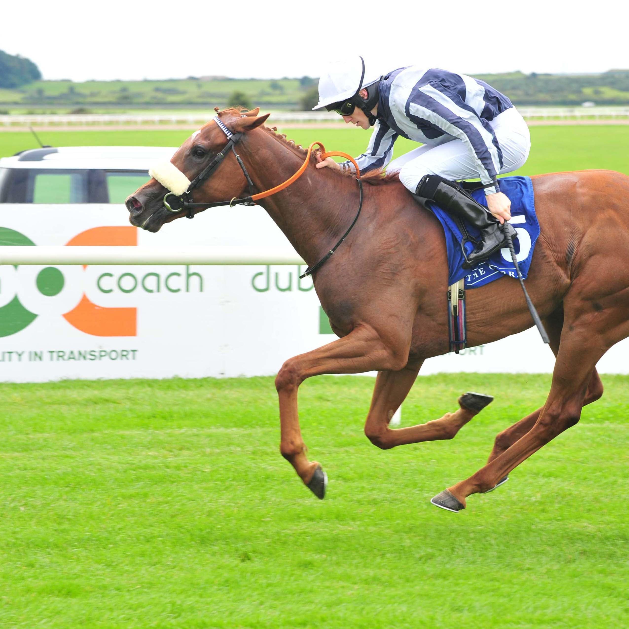 Liquid Amber winning the Flame Of Tara Stakes last season (PA)