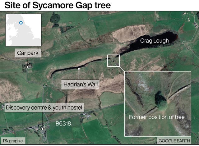 Site of Sycamore Gap tree 