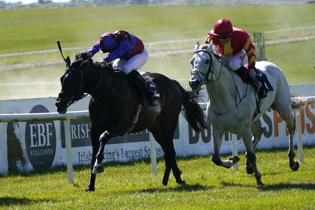 White Birch (grey) has twice finished second to Los Angeles this season 