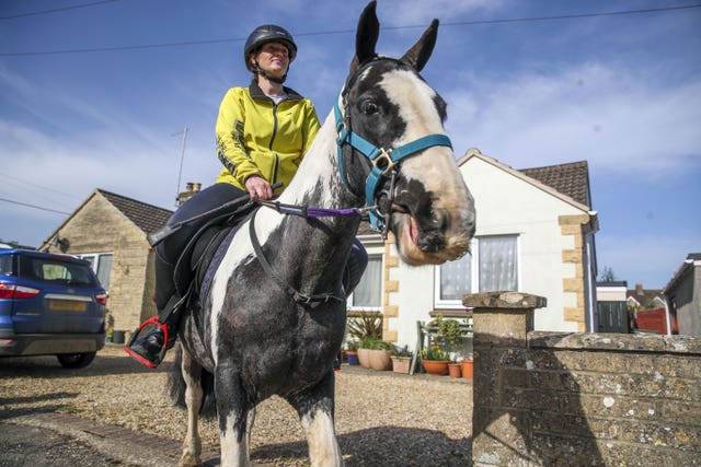 Rescue pony book delivery