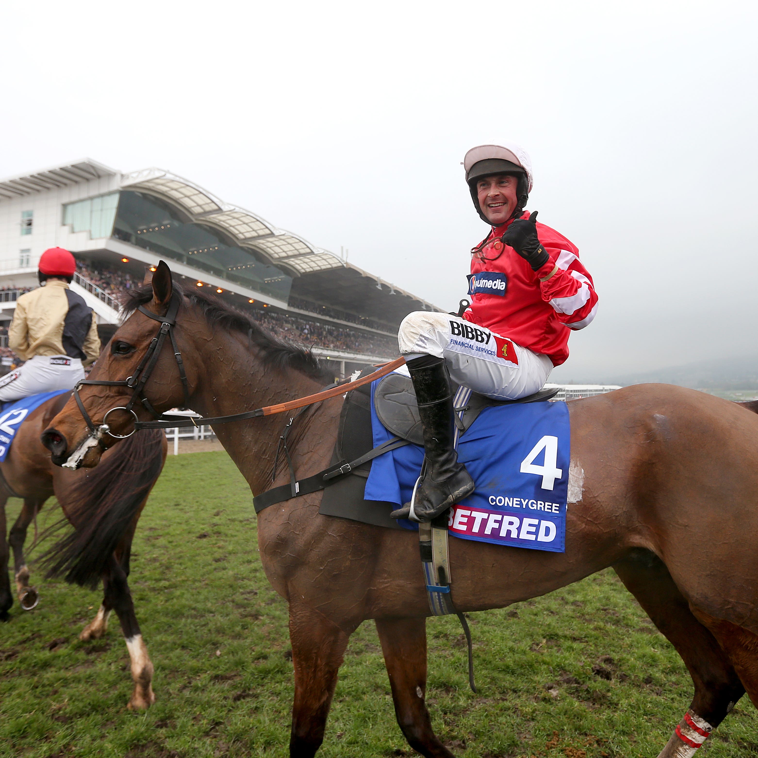 Coneygree after winning the 2015 Cheltenham Gold Cup