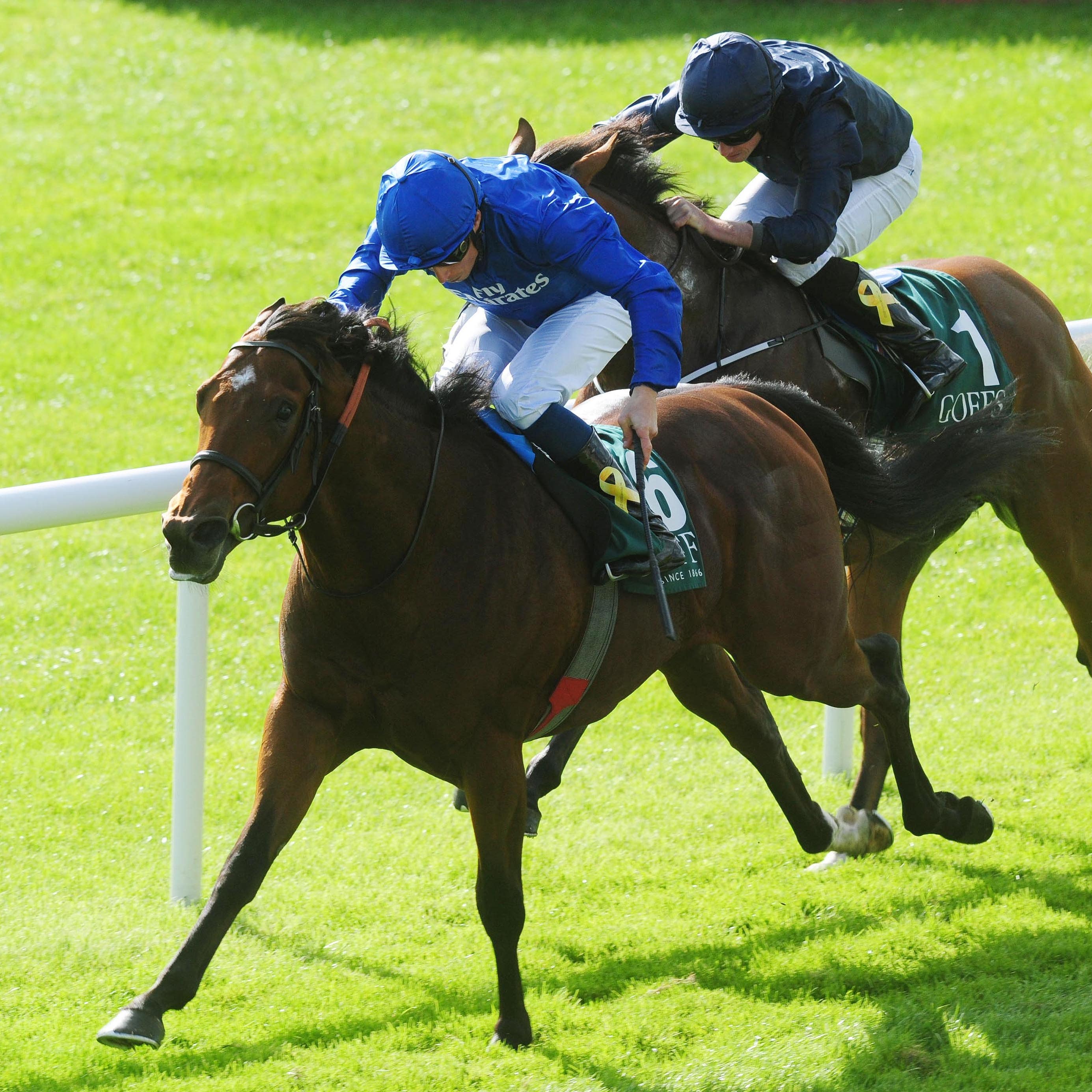 Quorto, who will head to straight to the Qipco 2000 Guineas