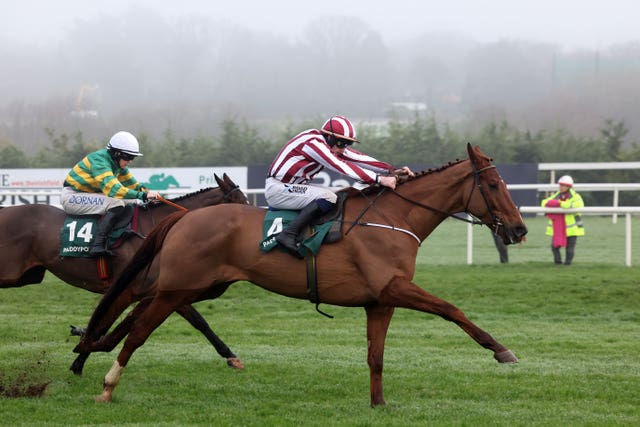 Jeannot Lapin towered over his rivals at Leopardstown