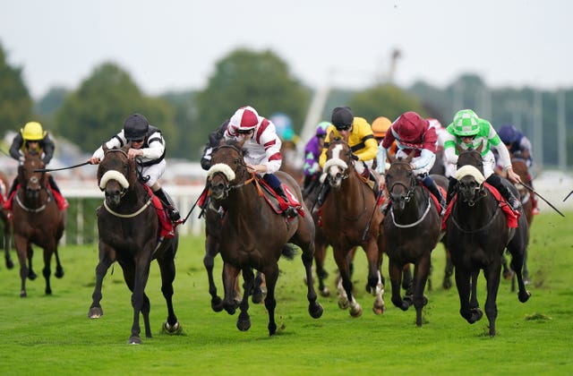 Annaf (right) winning at Doncaster last summer