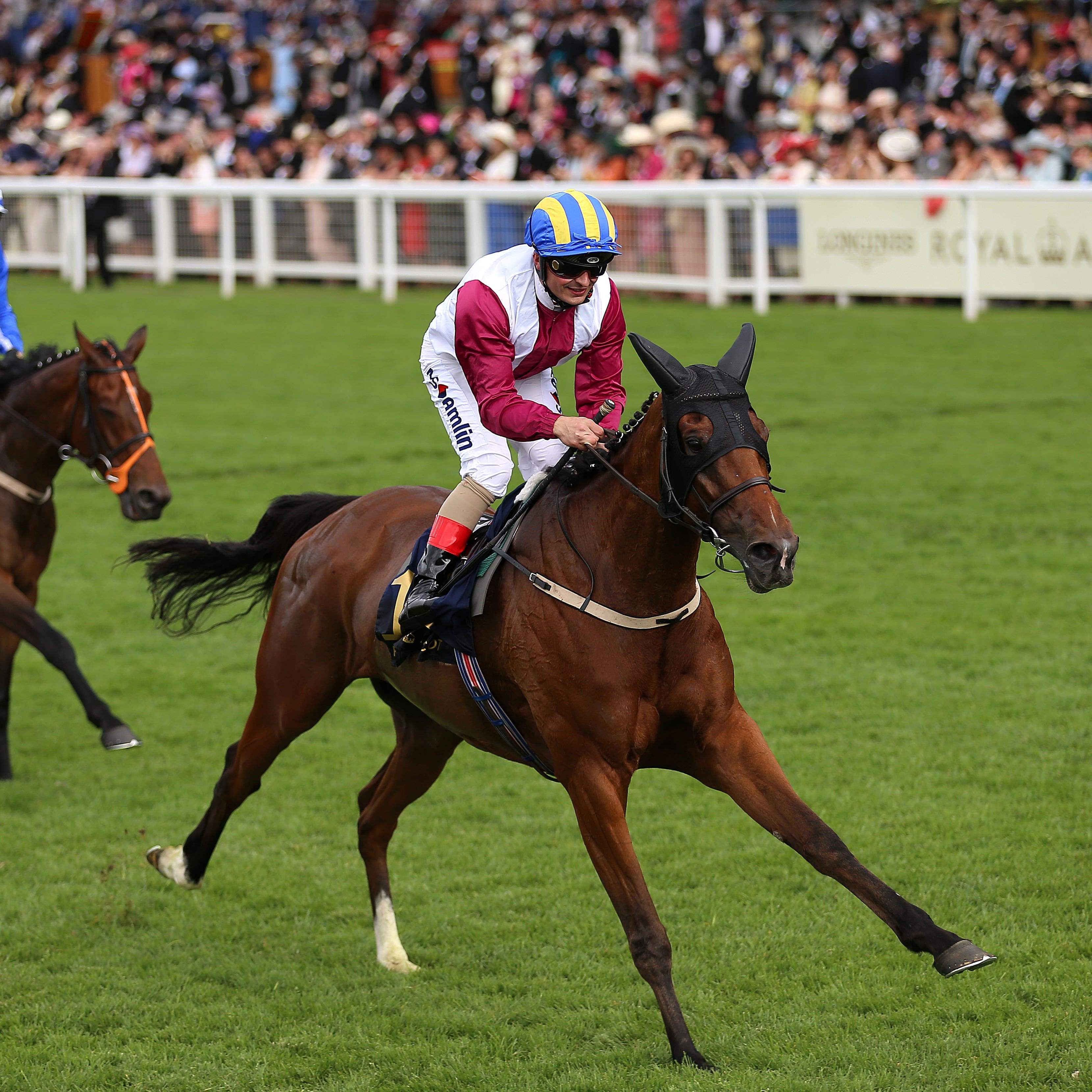 Lagostovegas wins the Ascot Stakes
