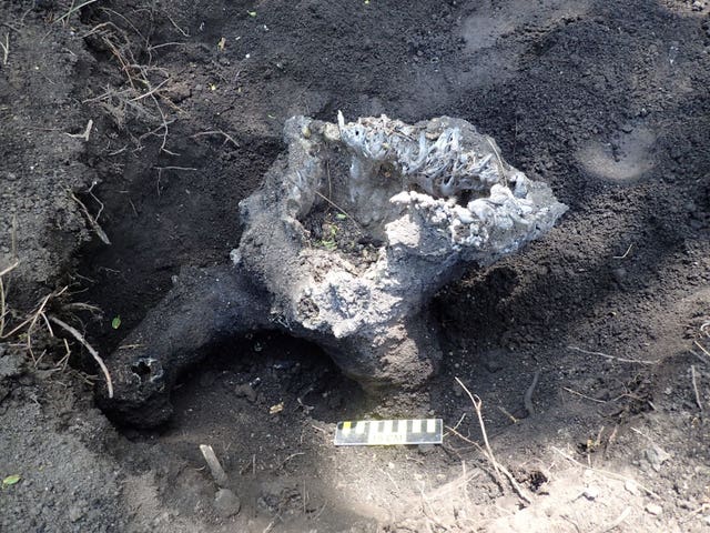 Fulgurite found in Glen Ellyn, Illinois, US