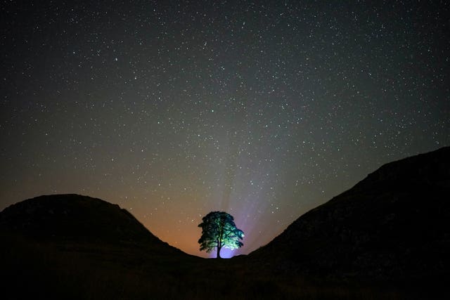 Sycamore Gap