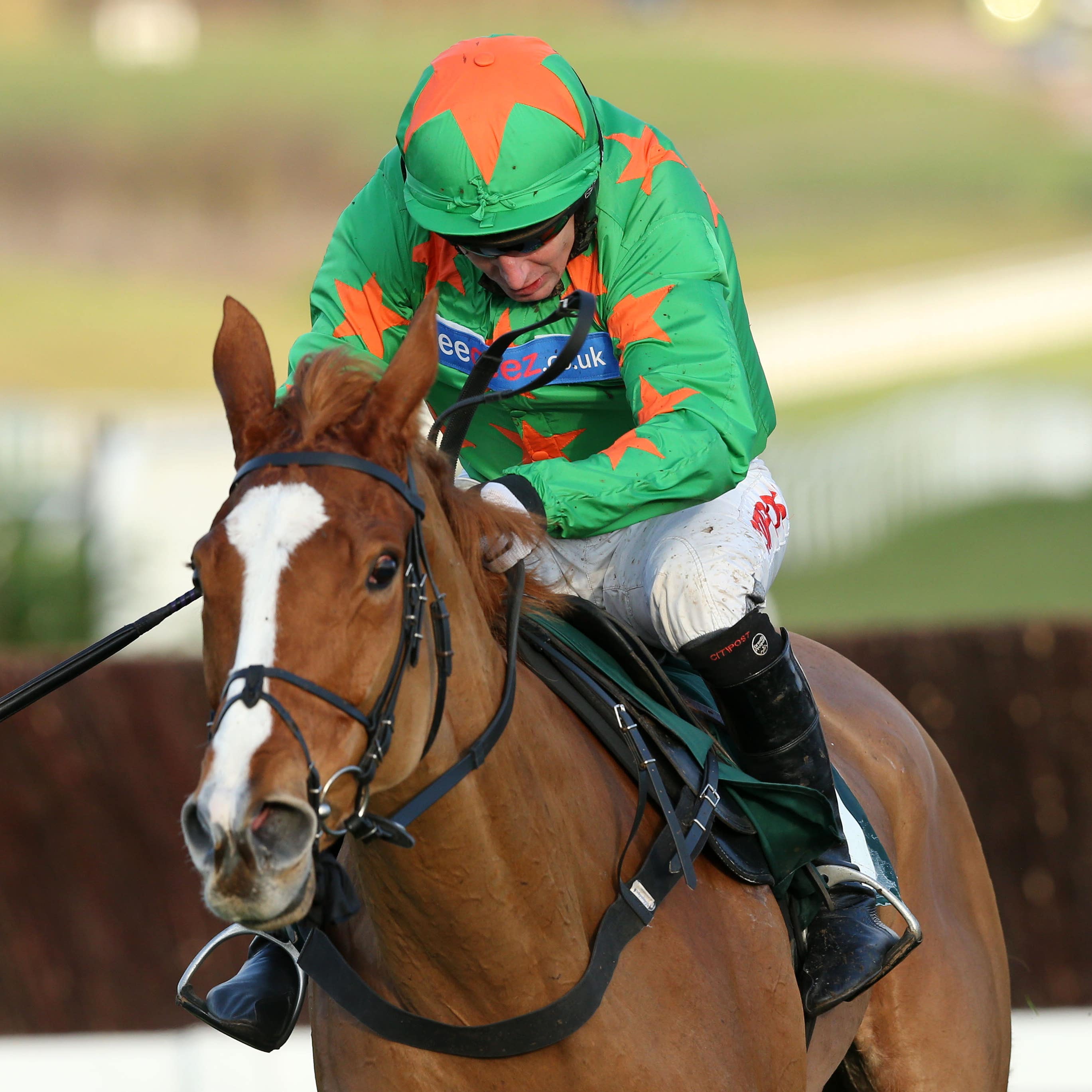 Ms Parfois on her way to winning at Cheltenham