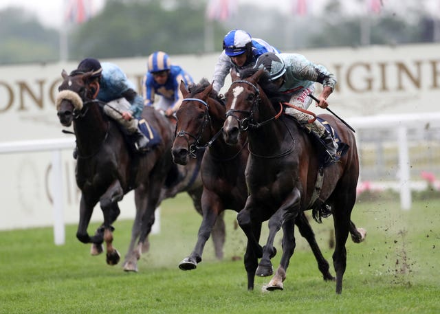 Alenquer was a Royal Ascot winner in the King Edward VII Stakes 