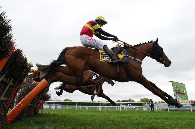 Knight Salute on course for the Triumph Hurdle 