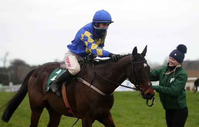 Kemboy after winning last season's Irish Gold Cup at Leopardstown 