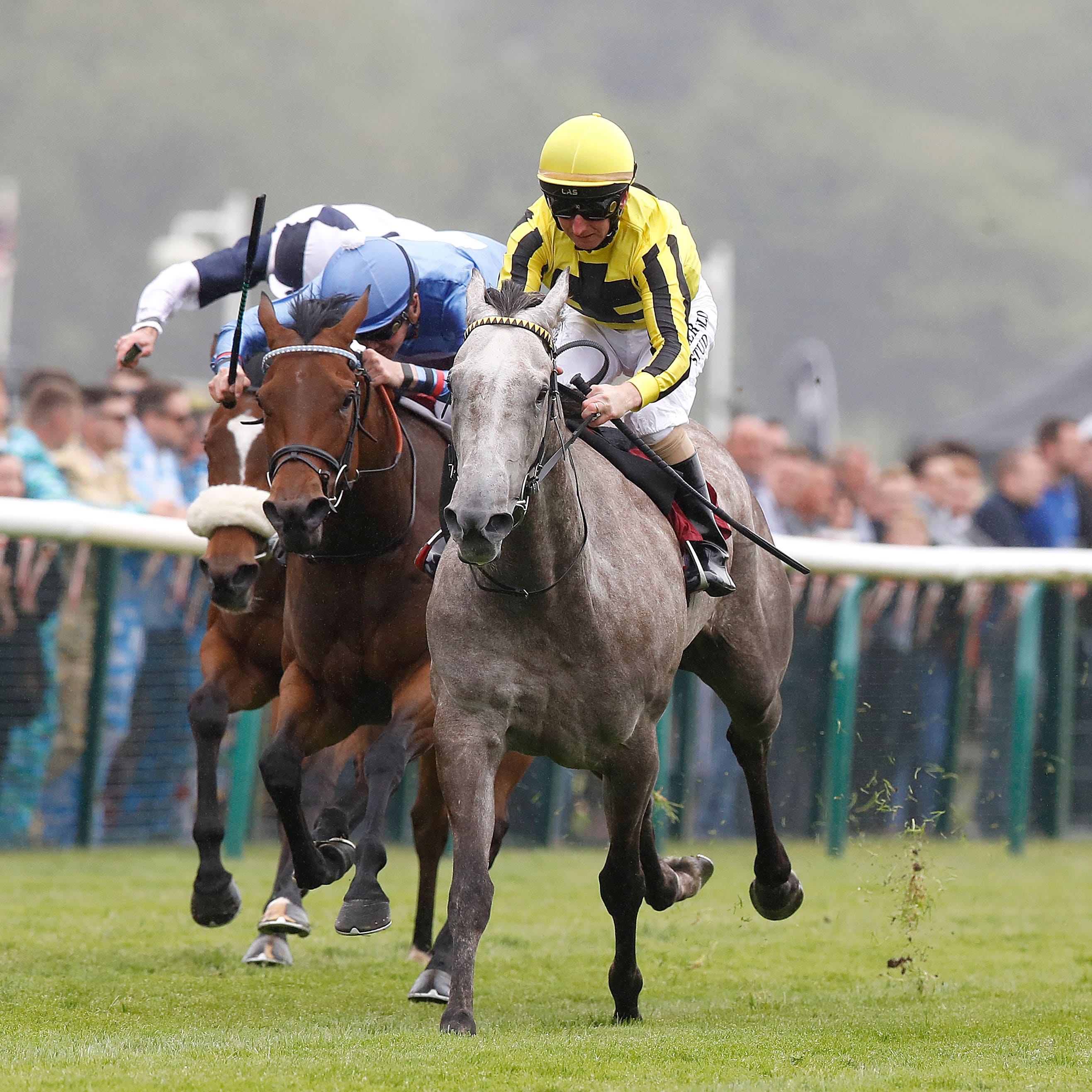 Forever in Dreams (right), ridden by Martin Dwyer, wins The EBF British Stallion Studs Cecil Frail at Haydock