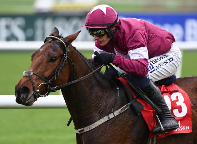 Predators Gold finished second at the Dublin Racing Festival
