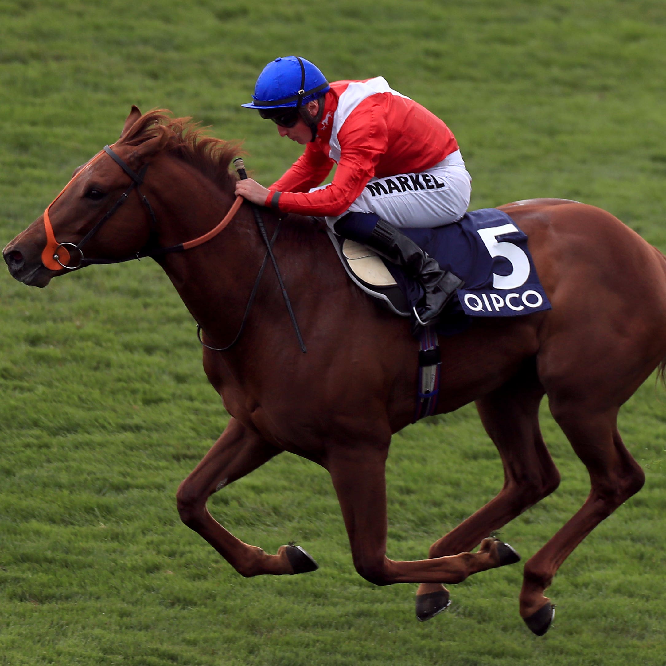Threat on his way to winning at Newmarket