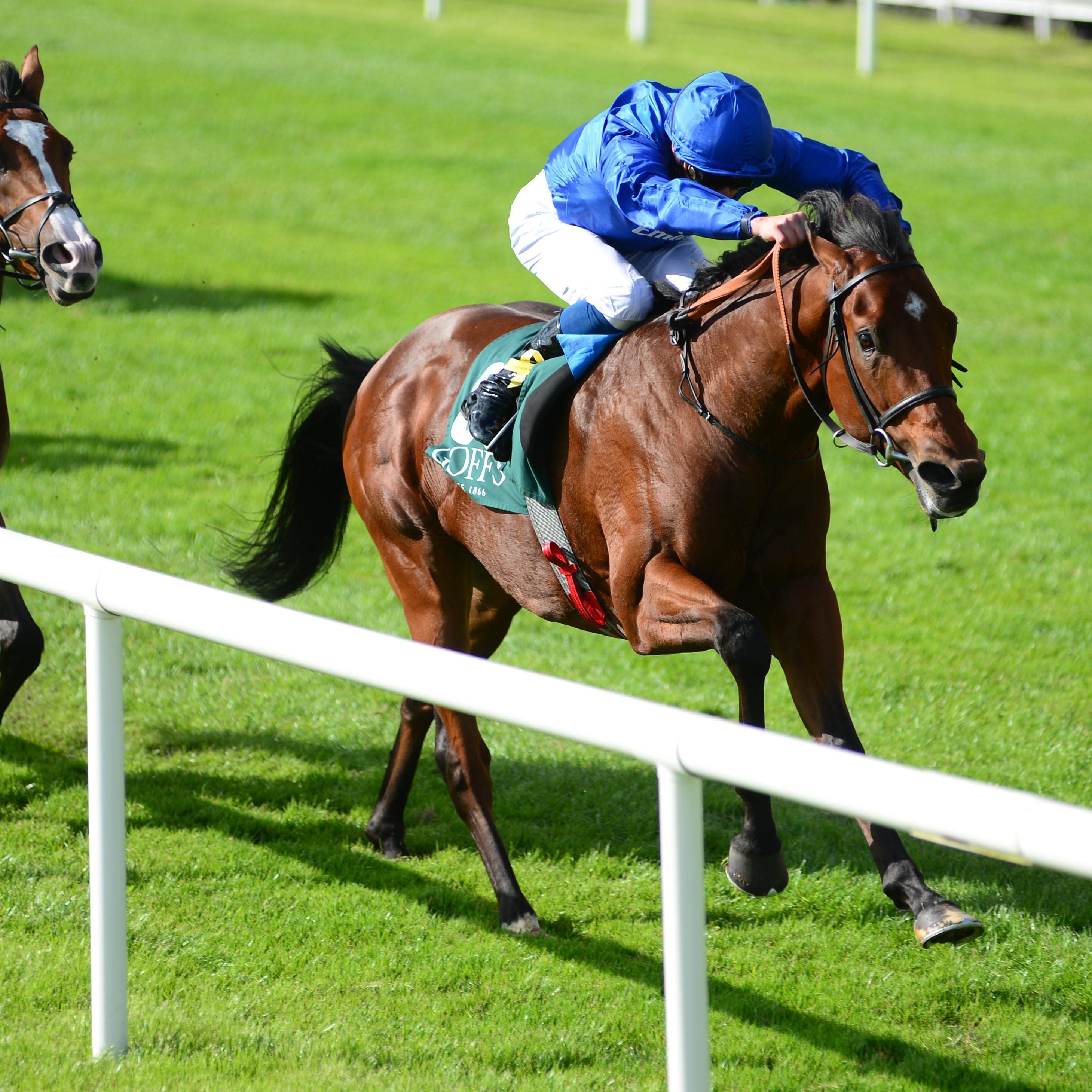 Quorto maintained his unbeaten record in the National Stakes