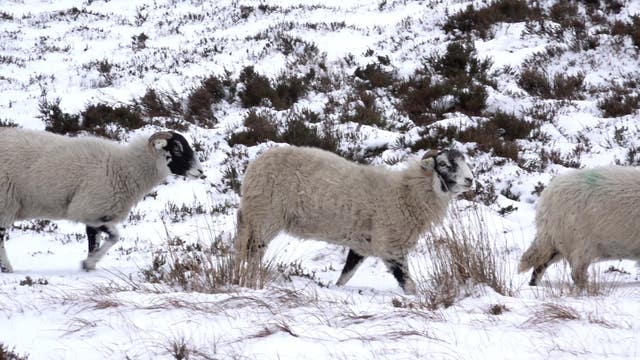 Winter weather Jan 9th 2026