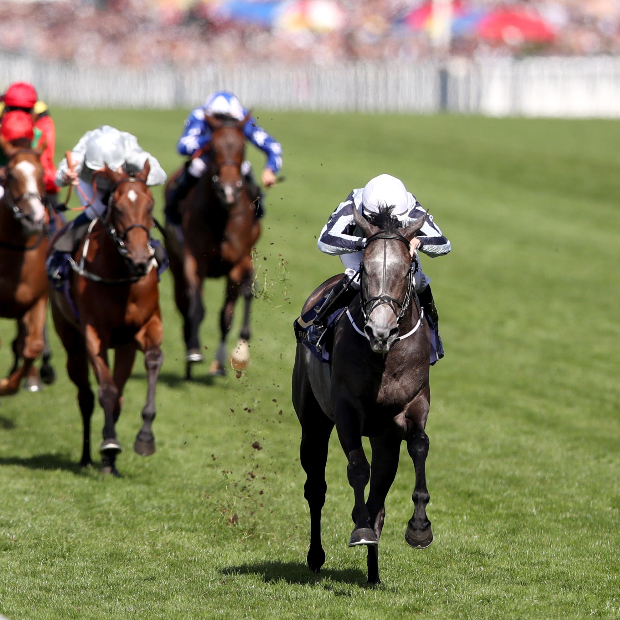 Alpha Centauri is set to stay in training as a four-year-old