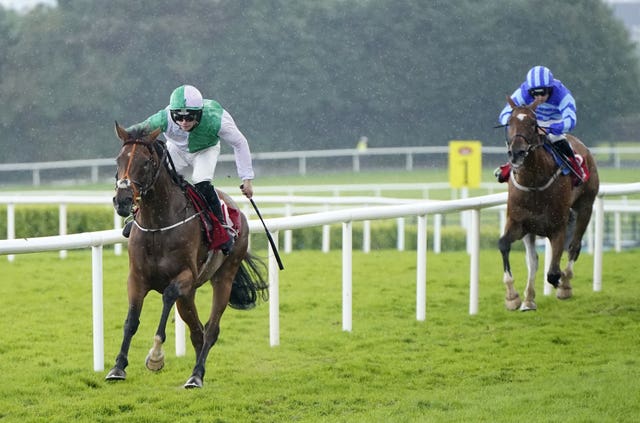 Teed Up has been one of the stars of the week at Galway