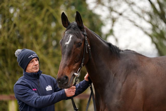 Dysart Enos ahead of the Cheltenham Festival 