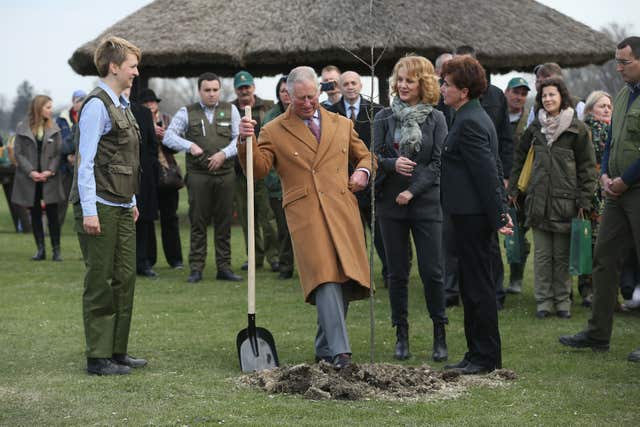 Charles planting a tree