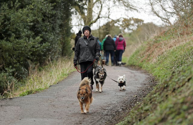 Dog-walkers