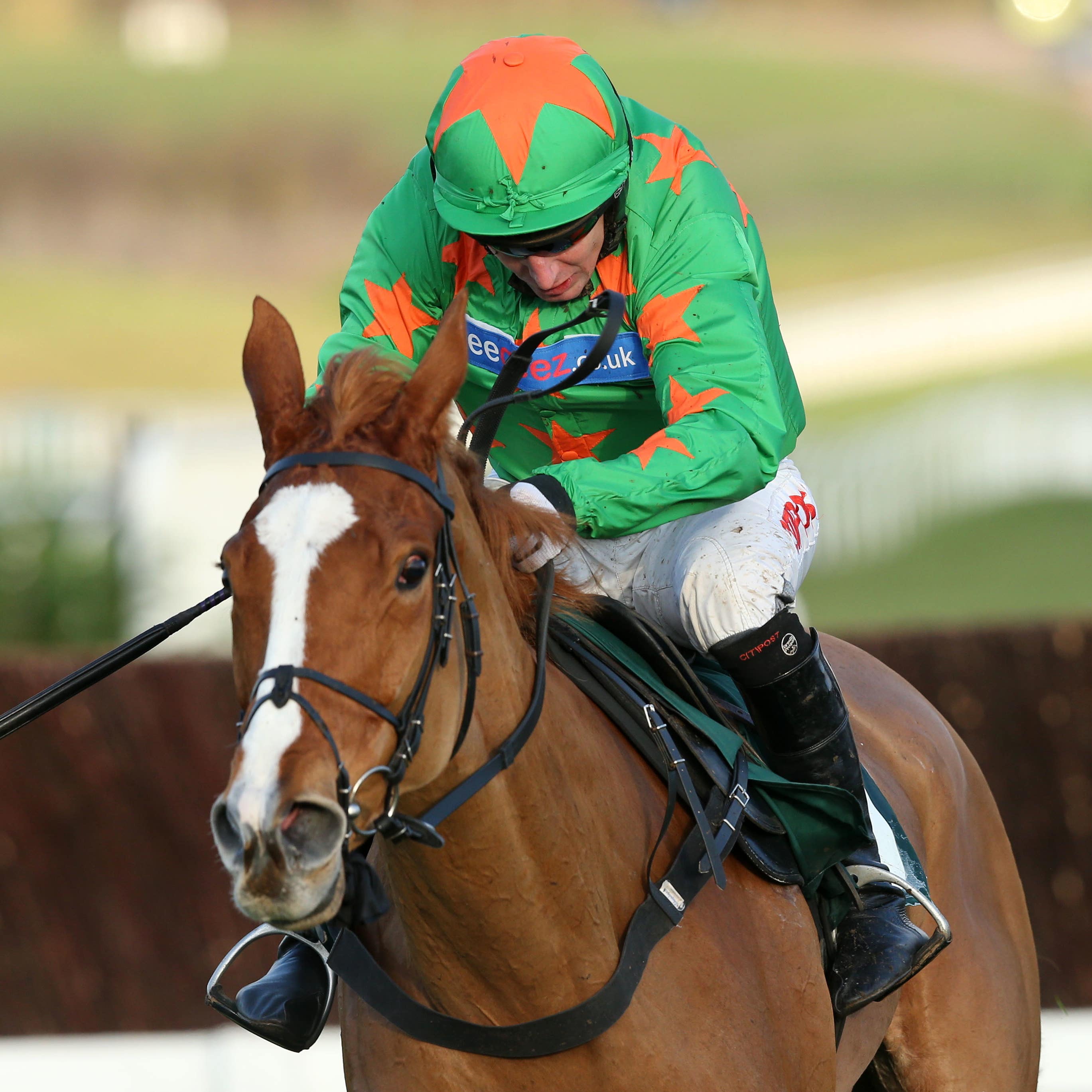 Ms Parfois is a leading contender for the Ladbrokes Trophy