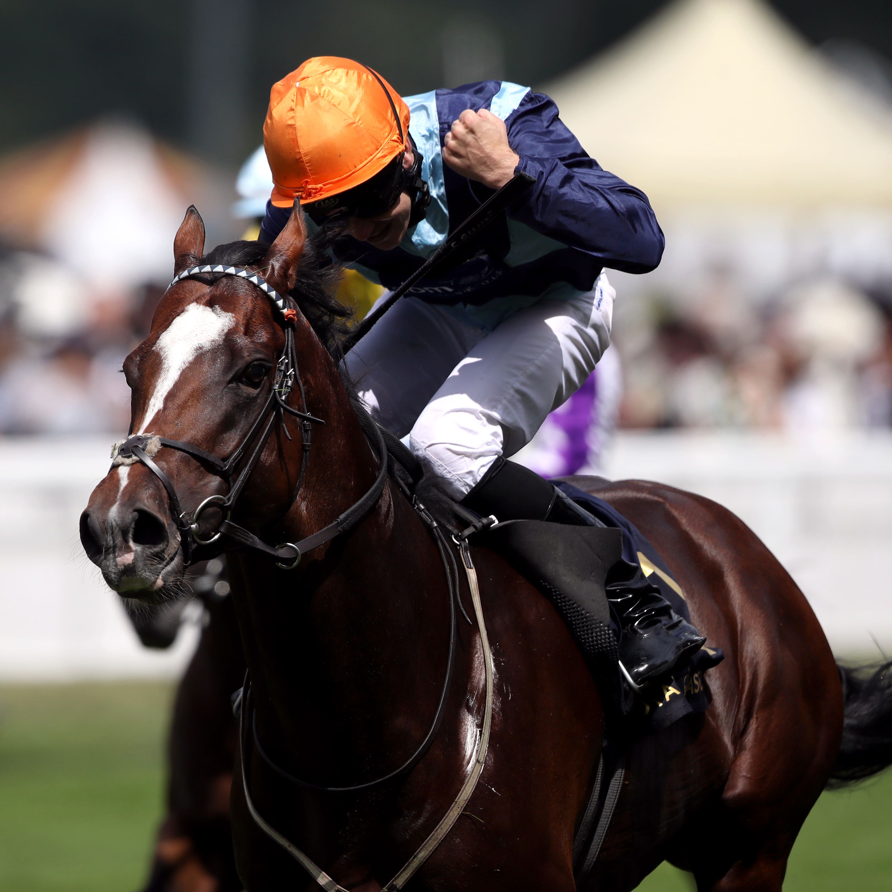 Accidental Agent will bid for a repeat win in the Queen Anne Stakes