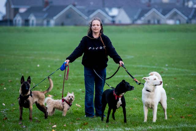 Eimear Mathews walking a group of dogs