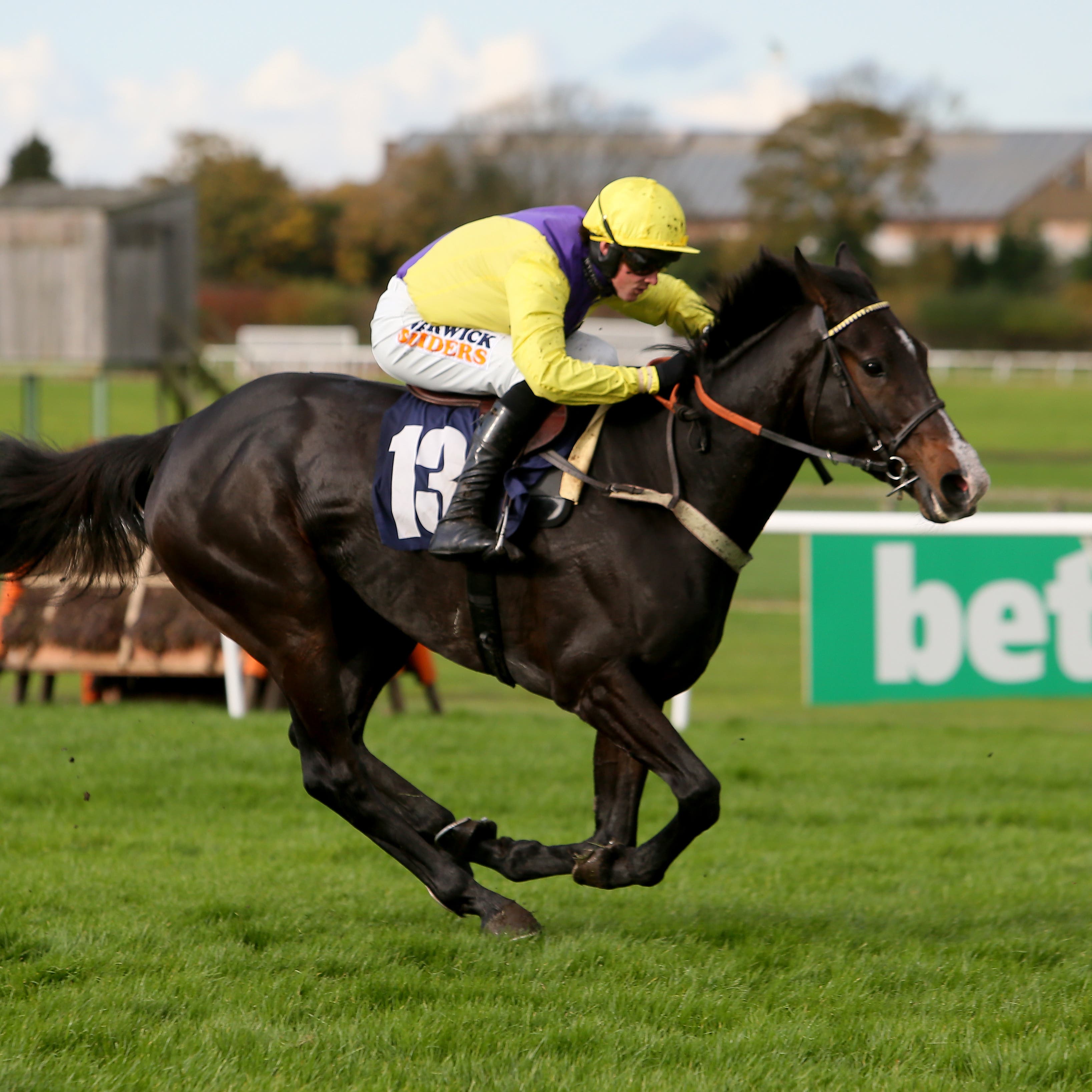 Kalashnikov could be heading to Aintree after being hampered at Cheltenham