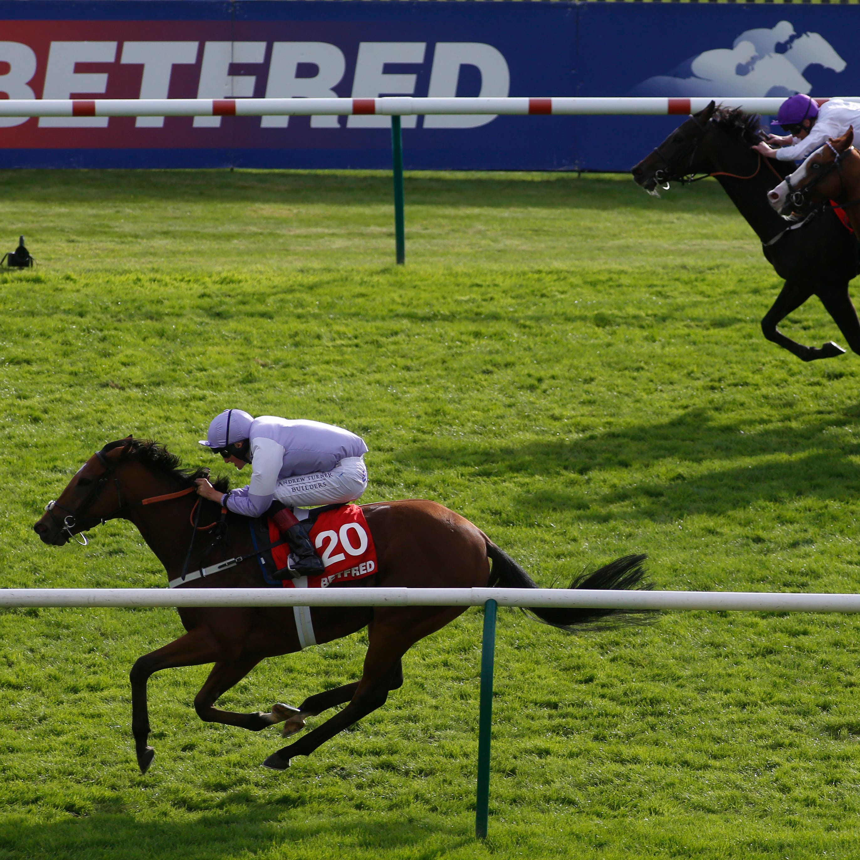 Dolphin Vista (left) gets up to win the Cambridgeshire Handicap at Newmarket