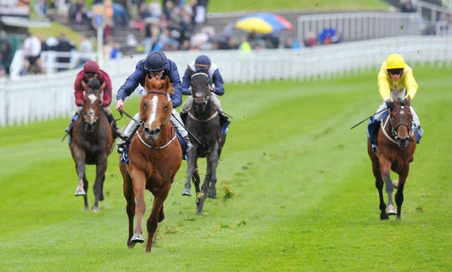 Ruler Of The World won the Chester Vase for Aidan O'Brien in 2013 on his way Derby glory