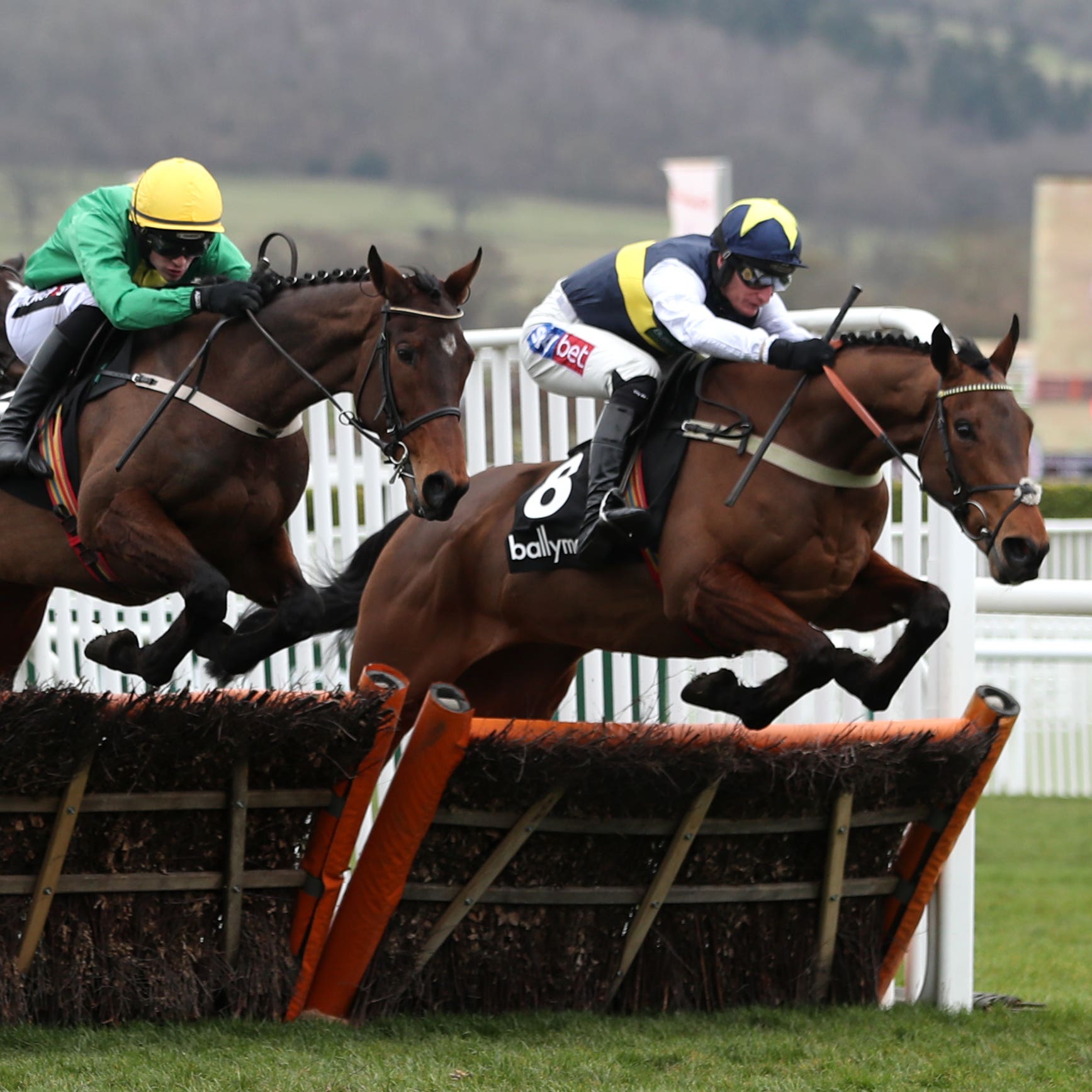 Scarpeta (yellow cap) at Cheltenham
