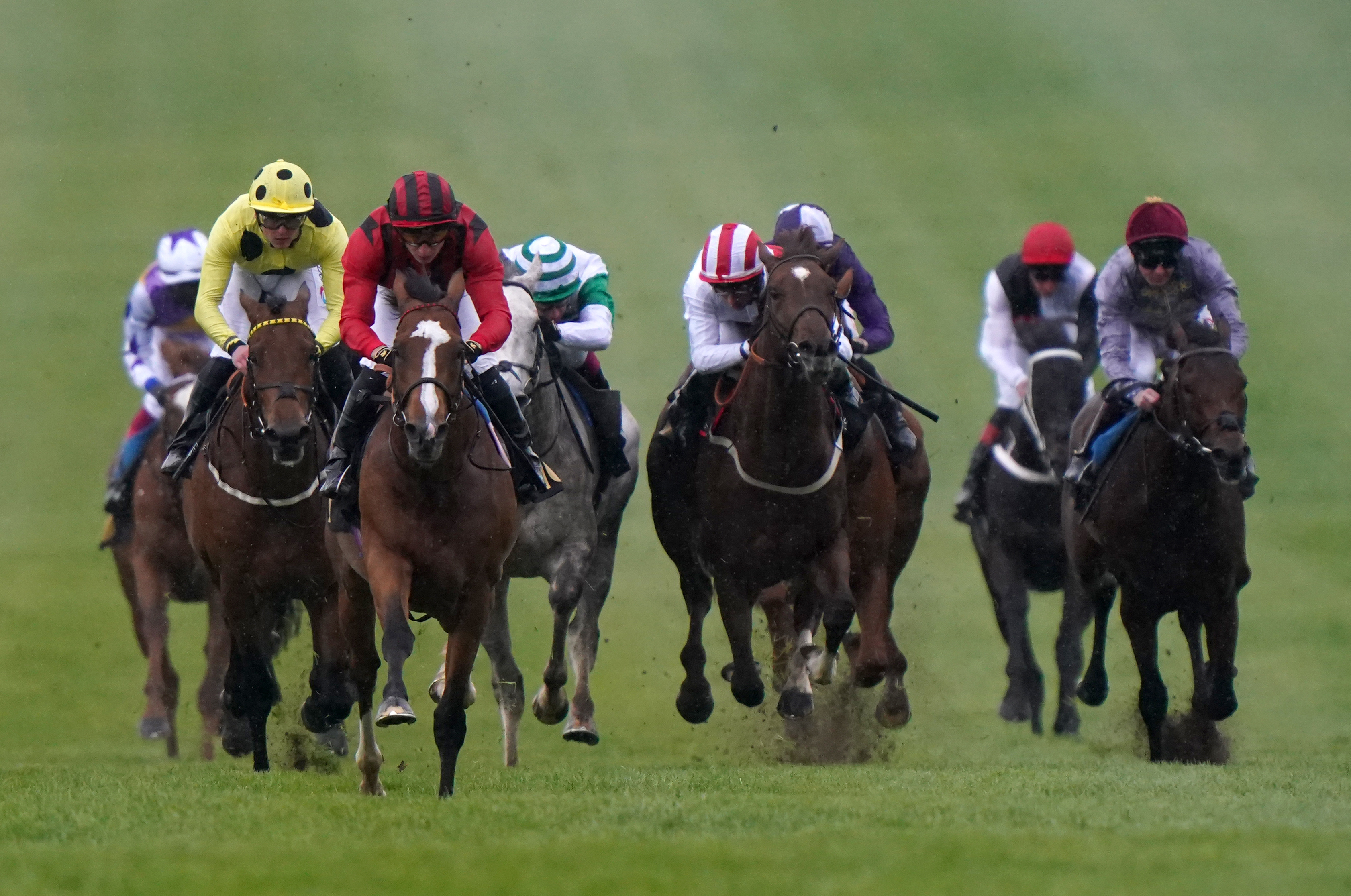 Waipiro (white face) powers clear