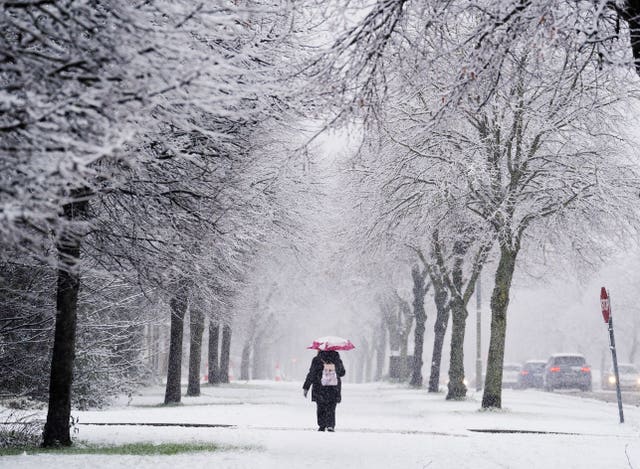 A person uses an umbrella as snow falls on a tree-lined road in Dublin