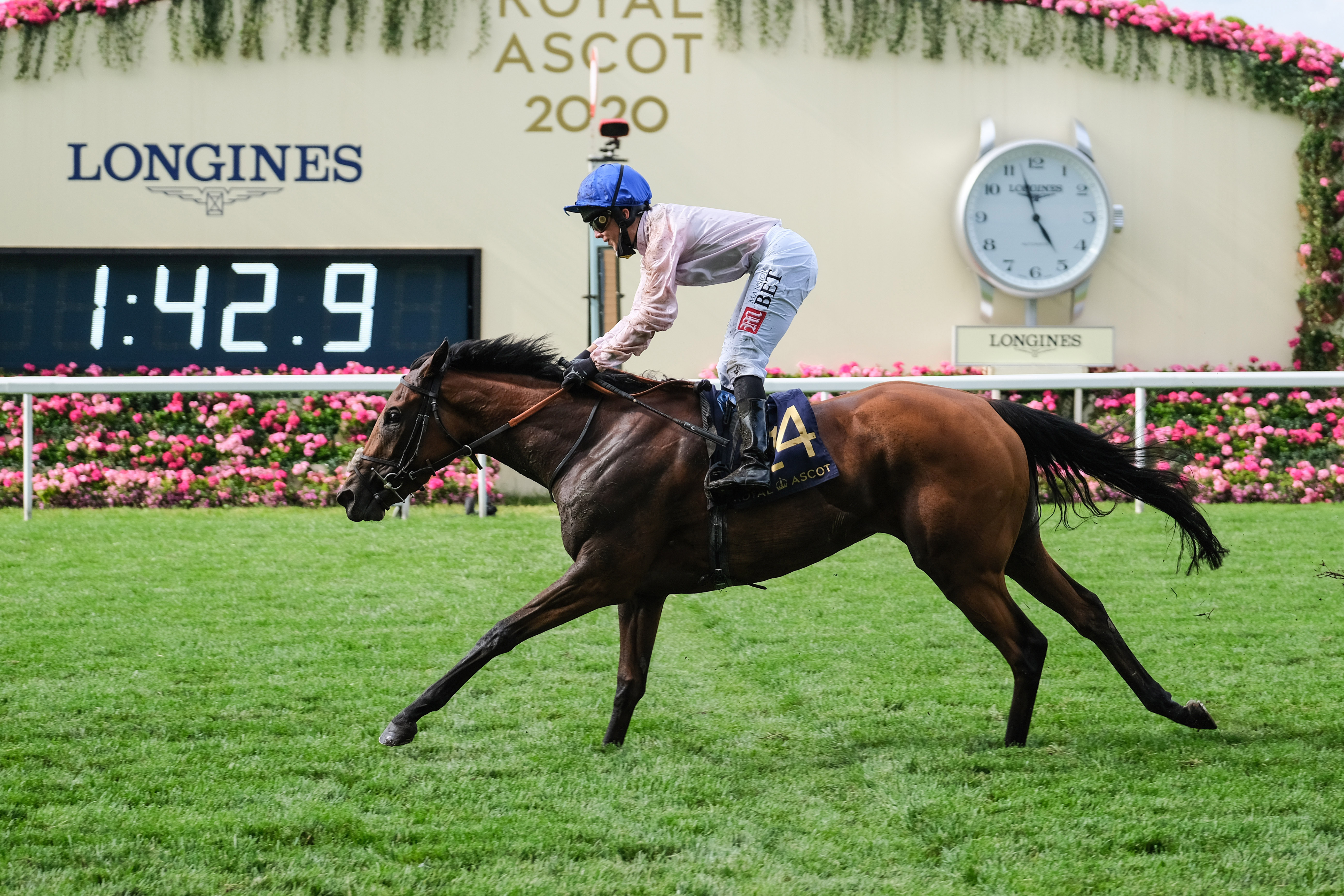 Onassis repeated the dose for Hayley Turned in the Sandringham