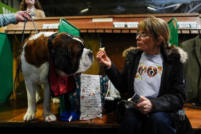 A dog with its nose close to the hand of a woman who is holding some food