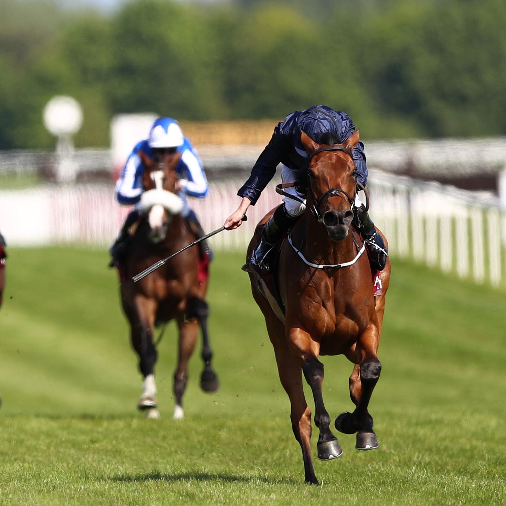 Rhododendron won an epic Lockinge Stakes (Tim Goode/PA)