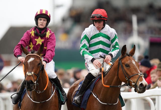 Monty's Star (left) and American Mike at Cheltenham 