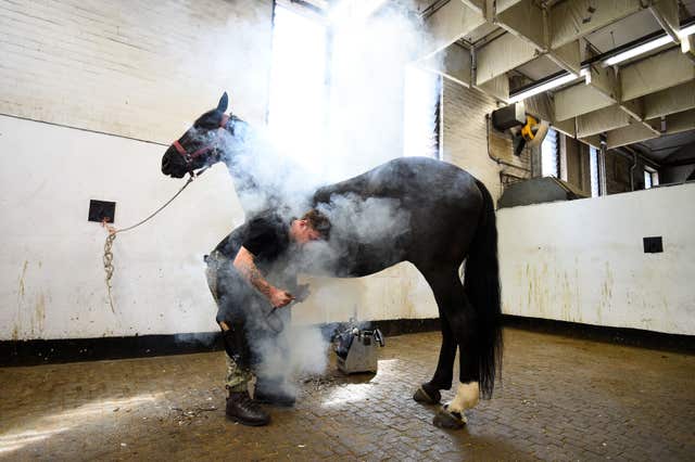 A member of the Household Calvary re-shoes a horse (Kirsty O’Connor/PA)