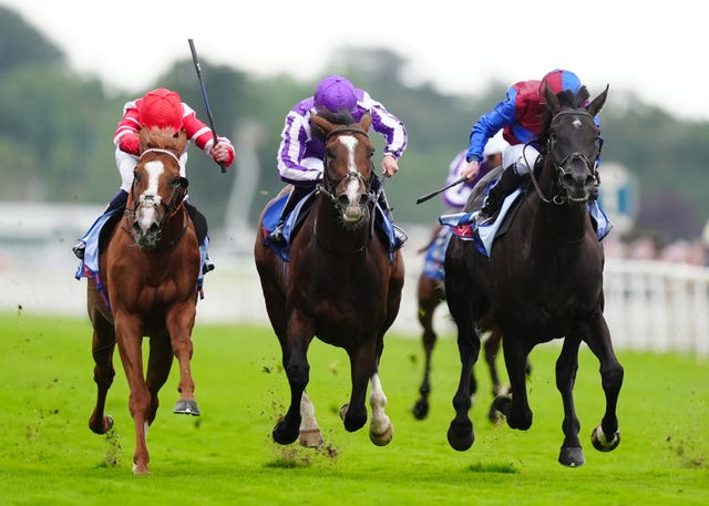 Los Angeles (right) winning the Great Voltigeur Stakes