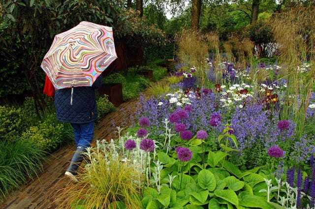 Chelsea Flower Show