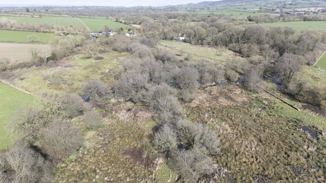 An aerial view of the beaver wetlands area near Cullompton, Devon