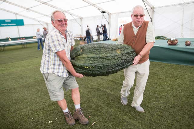 Malvern Autumn Show